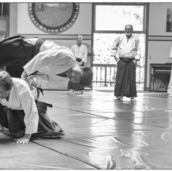 Aikido - The underground river