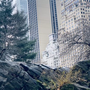 Central Park Conservancy - Parks Near Me - New York, New York
