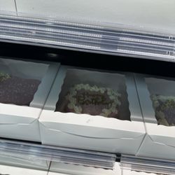 Memon Supermarket - Cakes with no price