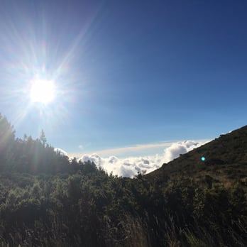 Maui Stargazing - Tours Near Me - Kula, Hawaii