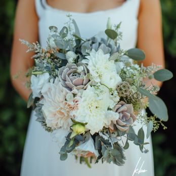 Westwind Succulents - Florists Near Me - Oakland, California Westwind Succulents - Florists Near Me - Oakland, California