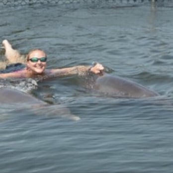 Dolphin Research Center - Swimming with the Dolphins. - Tours Near Me - Marathon, Florida