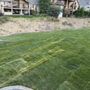 Photo of S and L Landscaping