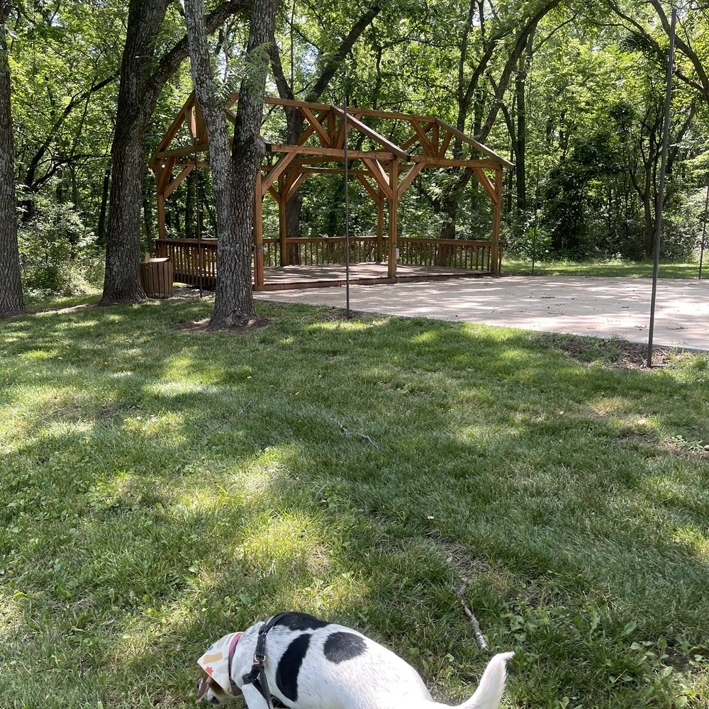 Unity Village - a dog playing with a frisbee - Coffee & Tea Near Me - Lee's Summit, Missouri
