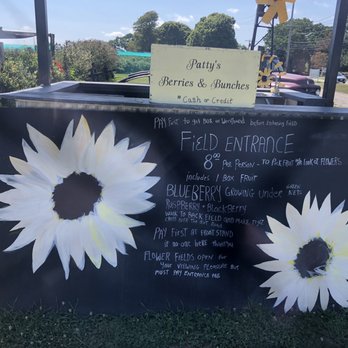 Pattys Berries and Bunches - Prices August 2022 - Fruits & Veggies Near Me - Mattituck, New York Pattys Berries and Bunches - Prices August 2022 - Fruits & Veggies Near Me - Mattituck, New York