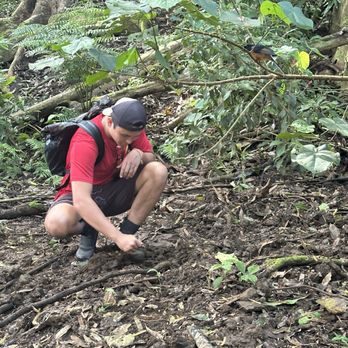 Ali'i Kayaks - That bird is an add-on attraction. Kai is digging up some earthworms for treats. - Tours Near Me - Kapaa, Hawaii Ali'i Kayaks - That bird is an add-on attraction. Kai is digging up some earthworms for treats. - Tours Near Me - Kapaa, Hawaii