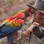 Freeflight and Parrot Training