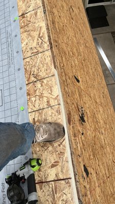 Golden Star Roofing & Solar