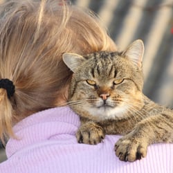 distinctive petsitting