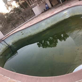 Pink Flamingo Pool Cleaning - Pool Cleaners Near Me Pink Flamingo Pool Cleaning - Pool Cleaners Near Me