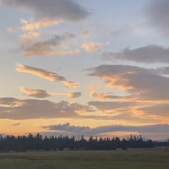 Wetlands Taphouse - Outdoor patio view - Beer Bar Near Me - La Pine, Oregon