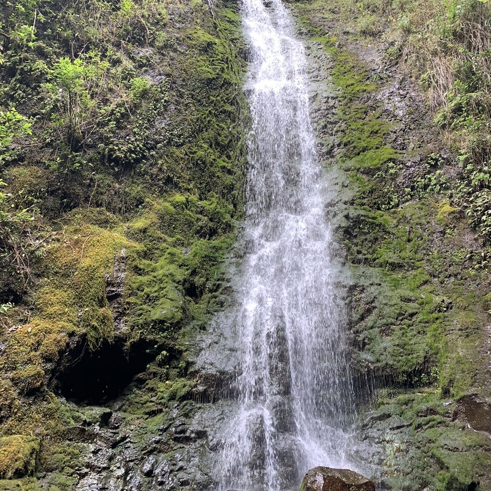 Lulumahu Falls - We made it - Hiking Near Me - Honolulu, Hawaii Lulumahu Falls - We made it - Hiking Near Me - Honolulu, Hawaii