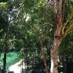 Cenote Yax Kin