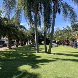 Open Country - A green spot to enjoy a break at between shopping and eating at the Swapmeet.