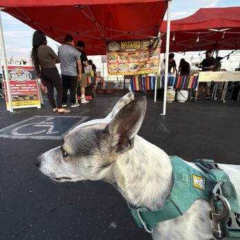 Natalios Cravings916 - Taco date with my pup! 8-9-25 - Mexican Near Me - Sacramento, California Natalios Cravings916 - Taco date with my pup! 8-9-25 - Mexican Near Me - Sacramento, California