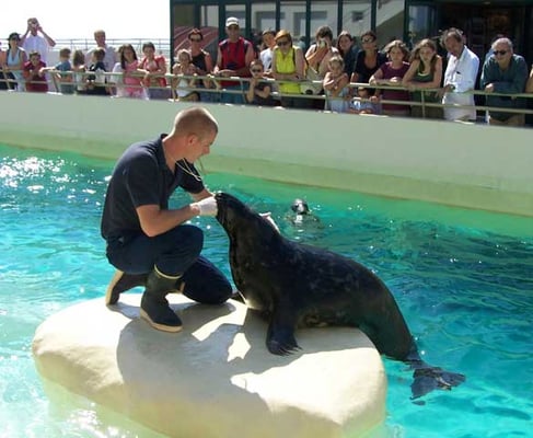Biarritz Aquarium by null