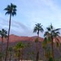 Photo of Ocotillo Palms Apartments