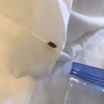 Regency Inn - Squished the bug by accident trying to place it in a baggy and surprise! It's full of blood - Hotels Near Me - Eddyville, Kentucky Regency Inn - Squished the bug by accident trying to place it in a baggy and surprise! It's full of blood - Hotels Near Me - Eddyville, Kentucky