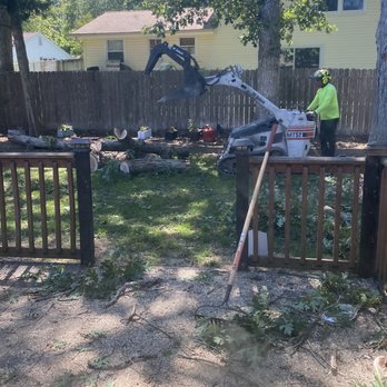 JL Tree Service - Tree Services Near Me - Fairfax, Virginia