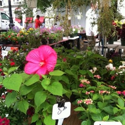 Flowers as well as produce. Flowers as well as produce.