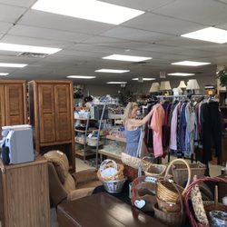 Molly Mutt I Thrift Shop - Inside