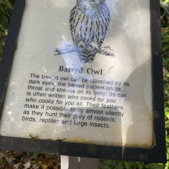 Hammock Trails - Parks Near Me - Kissimmee, Florida Hammock Trails - Parks Near Me - Kissimmee, Florida