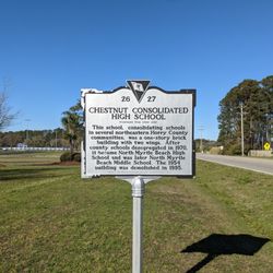 Chestnut Consolidated School Historical Marker - Chestnut Consolidated School Historical Marker, Little River