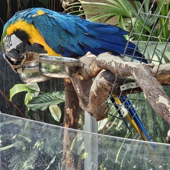 Bloedel Conservatory - Botanical Gardens Near Me - Vancouver, British Columbia