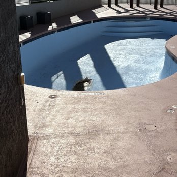 Best Western Plus at Lake Powell - So called Pool... lol - Hotels Near Me - Page, Arizona