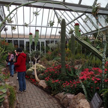Chicago Botanic Garden - Beautiful desert blooms - Botanical Gardens Near Me - Glencoe, Illinois