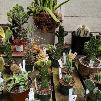 Encinal Nursery - Nurseries & Gardening Near Me - Alameda, California