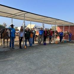 NDR Therapeutic Riding - Volunteers are the life blood of our business.