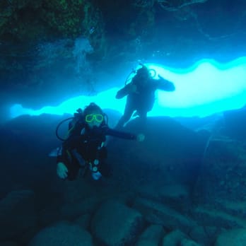 Banzai Divers Hawaii - My 10 yr old daughter & I went on our first dive with Devin today!  What a great teacher & guide!  I recommend Banzai to anyone! - Scuba Diving Near Me - Honolulu, Hawaii