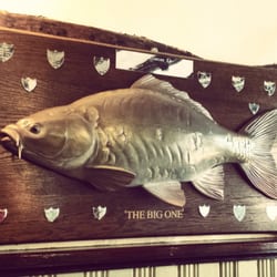 The Old Bell - Funny stuff here! #sofake