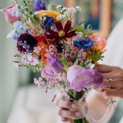 Wildflowers