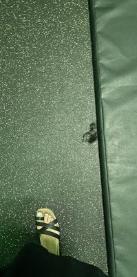 URBAN AIR TRAMPOLINE AND ADVENTURE PARK - Updated January 2025 - 26