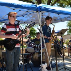 Musical Surprise - Concert In The Park Live Performance!