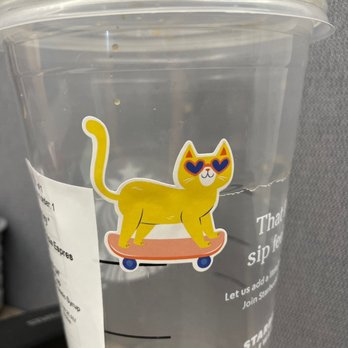 Starbucks - a cup with a sticker of a cat on it - Coffee & Tea Near Me - West Haven, Connecticut Starbucks - a cup with a sticker of a cat on it - Coffee & Tea Near Me - West Haven, Connecticut