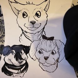 Paws In The Park