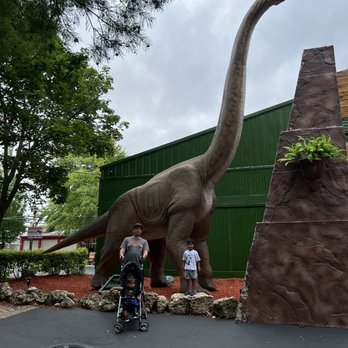 Volo Museum - Museums Near Me - Volo, Illinois Volo Museum - Museums Near Me - Volo, Illinois