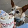 Photo of McConnell's Fine Ice Creams