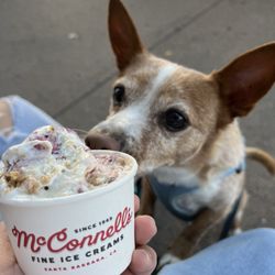 McConnell's Fine Ice Creams
