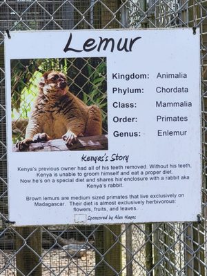 Everglades Outpost by null