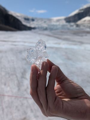 Columbia Icefield by null
