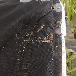 Mattress Land - The only place we had bugs is our bed. Bugs can get through the staples and like the outside better for better feeding