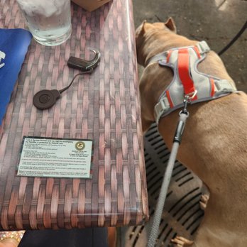 Cocina TARASCAS Mexican Restaurant - My son service dog card, his cochlear implant & service dog. Her service dog vest is torn, that's why we have the card. - Mexican Near Me - Chicago, Illinois Cocina TARASCAS Mexican Restaurant - My son service dog card, his cochlear implant & service dog. Her service dog vest is torn, that's why we have the card. - Mexican Near Me - Chicago, Illinois