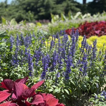 Sunken Gardens - Botanical Gardens Near Me - Lincoln, Nebraska