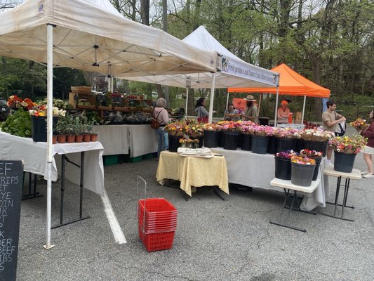 Morningside Farmer's Market by null