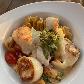 Turtle Club Restaurant - Scallops and tortellini - Seafood Near Me - Naples, Florida Turtle Club Restaurant - Scallops and tortellini - Seafood Near Me - Naples, Florida
