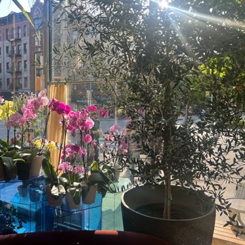 Cafe-Flor - Coffee & Tea Near Me - New York, New York
